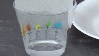Candy Chromatography with The Angelo State University Chemistry Department