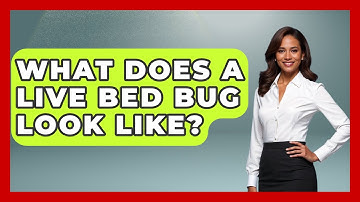 What Does A Live Bed Bug Look Like? - Insects and Invaders
