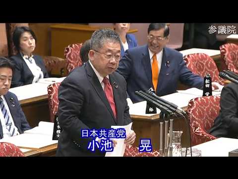 【令和8年7月15日】参議院 皇室典範改正特別委 共産・小池晃