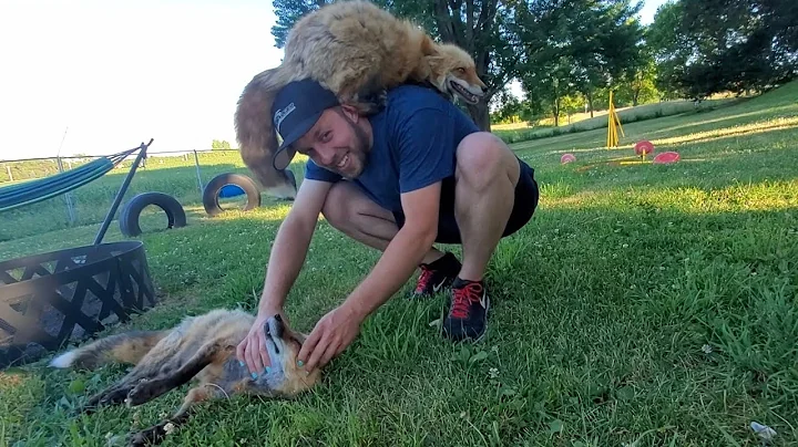 Dixie finally accepts Ethan as part of the family