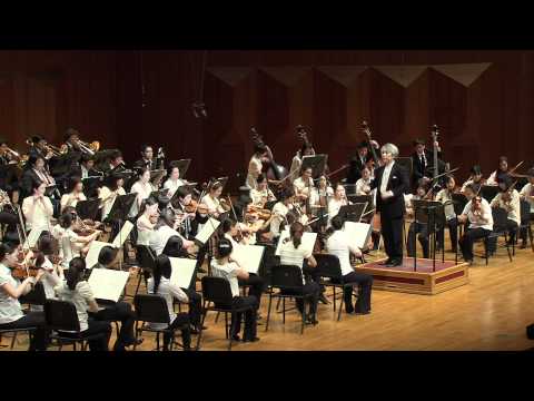 Radio Symphony Orchestra Ljubljana (+) 베토벤: 교향곡 5번 , 제1악장