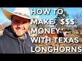 How To Make Money With Texas Longhorns