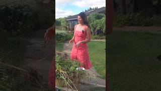 These 12 Plants Are THUGS in the Garden #garden
Now that the gardens have matured at 3 and 4 years respectively, there are some plants that have either spread or have moved in that are thuggish. Ill be thinning them out in order to keep the design goals of the gardens near the Common House. These 12 Plants Are THUGS in the Garden #garden