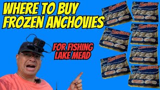 Where to Buy Frozen Anchovies  | Best Bait for Fishing Lake Mead