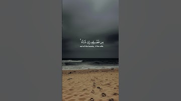 #quran #قرآن #سعود_الشريم  #سورة_التوبة