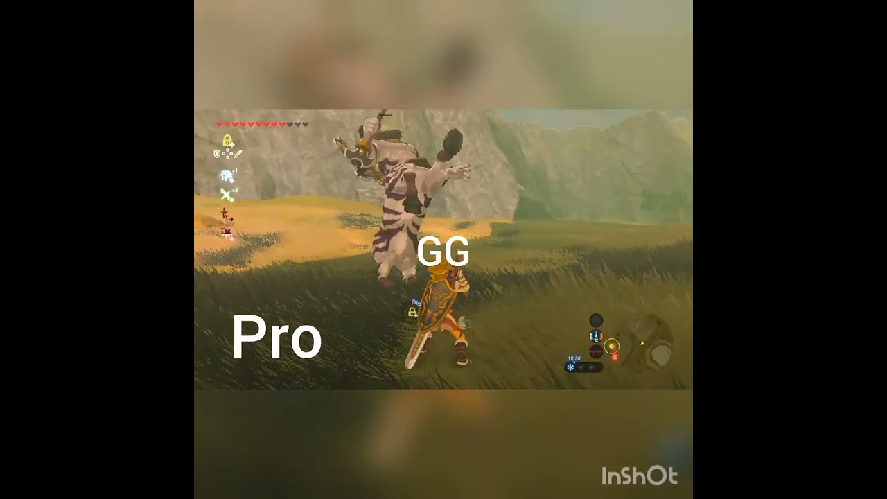 POV: Pro vs Noobs: Killing a Lynel