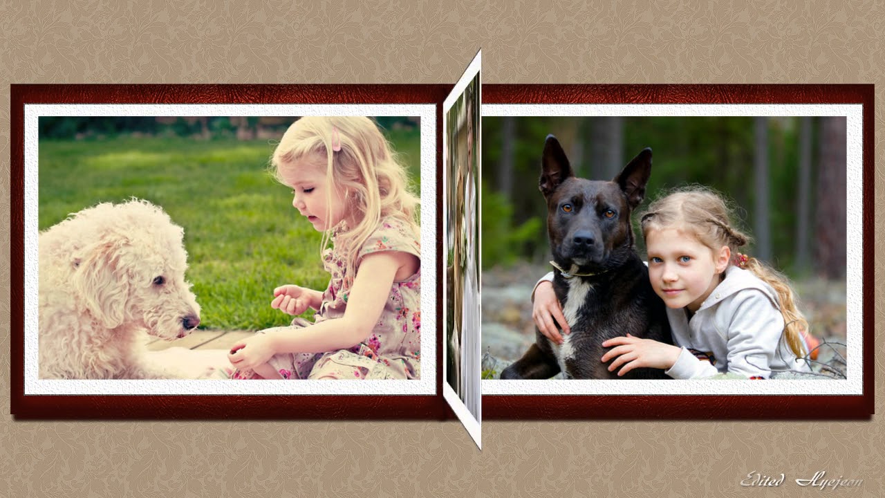 Alfor ru готовые проекты для прошоу продюсер