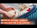 Harga Beras di Jepang Meroket, Tembus Rp 430.000 Per 5 Kilogram!