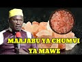 MAAJABU YA CHUMVI NYEKUNDU YA MAWE SHEIKH ABUU JADAWI