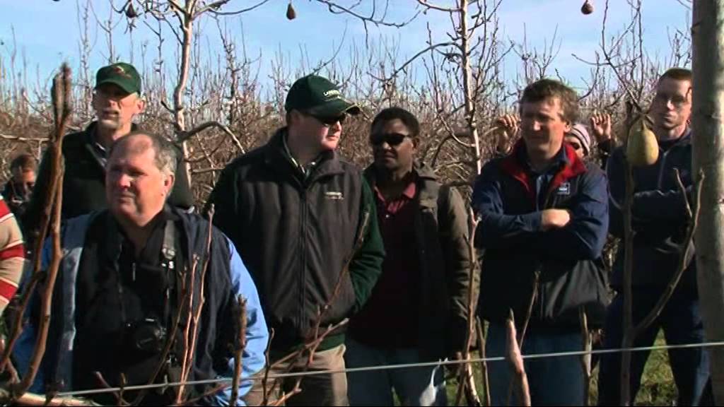 Intesive Pear School Winter 2009