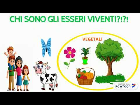 Video: Come vengono classificati gli esseri viventi e non viventi?