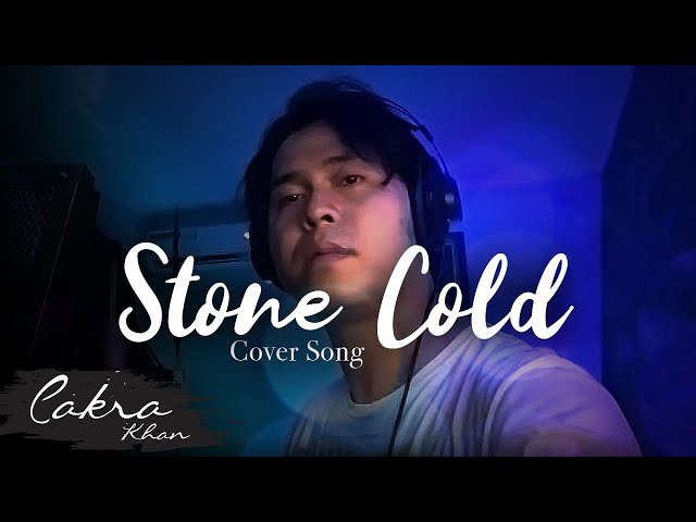 Stone cold - Demi lovato ( cover ) class=