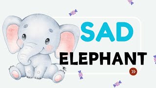 (英文故事閱讀_初階) 難過的大象 Sad Ollo by Katherine Rawson【BeaEnglish線上英文】Read aloud from Khan Academy