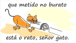 Vignette de la vidéo "Señor gato"
