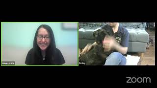 July Virtual Dog Adoption Event (7/24)