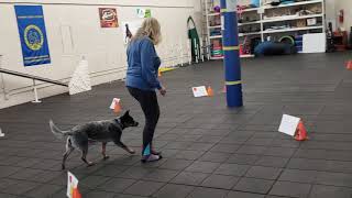 Kay and Willow at Intermediate Rally practice
