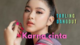 Download Lagu TARLING DANGDUT _ KARNA CINTA _ AYU  WD ENAK POOOL 💃 MP3