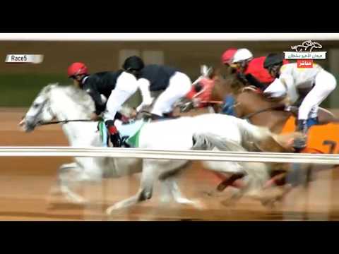 الشوط الخامس من الحفل 5 ب ميدان الأمير سلطان بن عبدالعزيز للخيل فوز جلمود الخالدية 