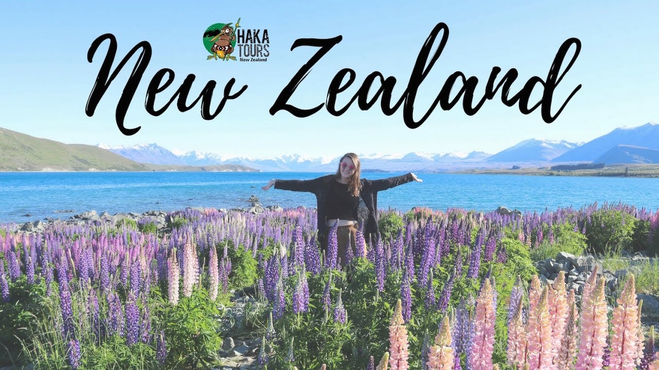 NZ South Island Road Trip - Part 1 ~ Haka Tours | THATraveller - YouTube
