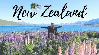NZ South Island Road Trip - Part 1 ~ Haka Tours | THATraveller