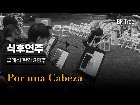 식후연주 - Por una Cabeza, 드래곤 힐 로지 호텔