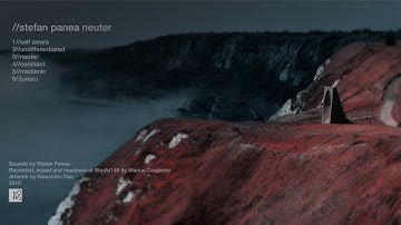 Stefan Panea - Neuter