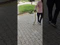 Snake 🐍💀#viral #shorts #snake