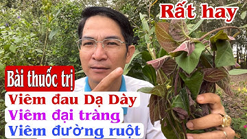 Bài thuốc trị viêm đau Dạ Dày, viêm đại tràng, viêm đường ruột, viêm da rất hay. PHAN HẢI Channel