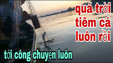 Cao Thủ Giăng Câu Sông Tiền Mới kéo Tay Lưới Lên Thấy Tiêm Cá Kêu Trời Liền # SĂN BẮT ĐỒNG THÁP #