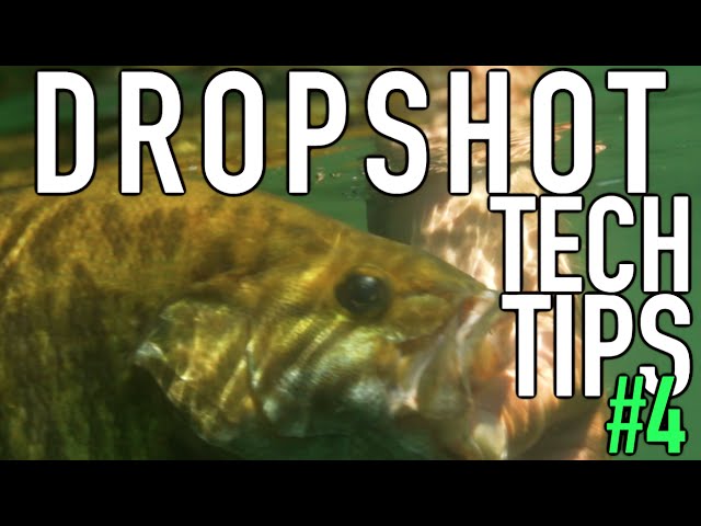 How to Fish a Dropshot: Tech Tips #4 