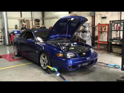 03 cobra - henn's garage dyno day
