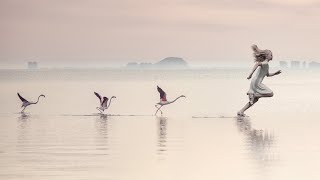 The Bathtub by Savfk [CC-BY royalty free music - orchestral sad strings]