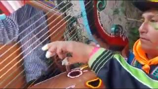 Huayno Sentimental Despachoarpa Y Violin 2020