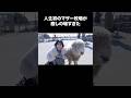 人生初のマザー牧場が癒しすぎた【原神イベント】