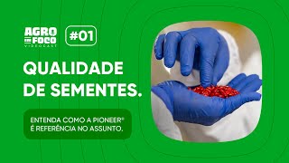 Só semente da safra é boa? Descubra a verdade no Agro em Foco – Videocast #01