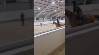 Competing In Show Jumping This Sunday, Only 40 Cm But Im Exited Either Shana Or Blesen