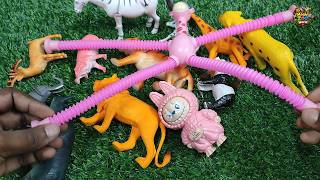 Beautiful Toy World | Fun Toy Video for Kids | Watch Different Animals 🐯🐵🐘