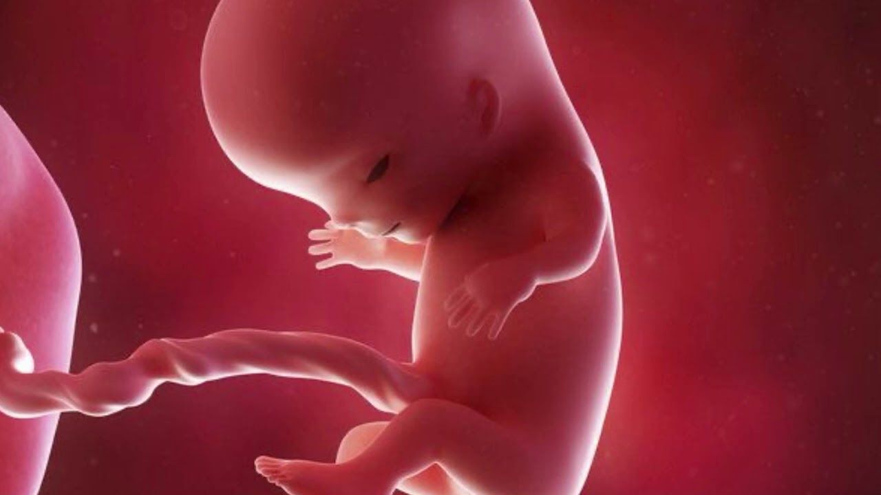 👶🏻RUÍDO BRANCO - SEM ANÚNCIOS