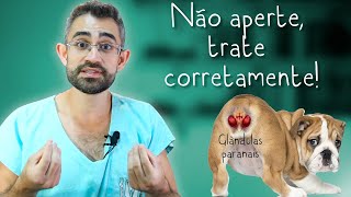 Inflamação De Glândulas Paranais Sacos Anais Dica Veterinária