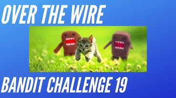 Over The Wire Bandit Wargame Level 19 Tutorial and Walkthrough
