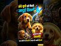 🐶 अंधे कुत्ते को मिली जादुई तितली 😭🦋 | Emotional Animal Story #shorts#viralvideo #ai #dog