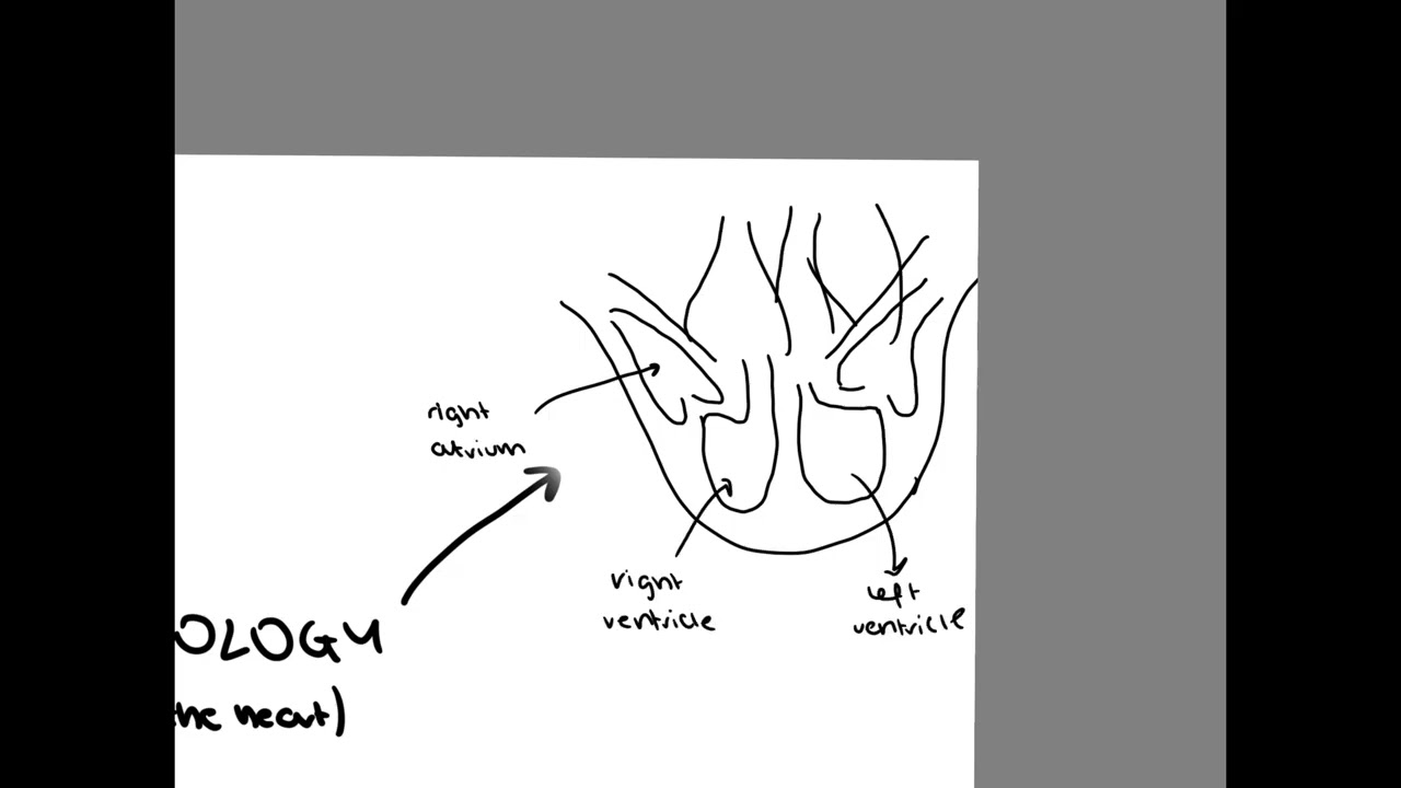 Revision technique - BLURTING