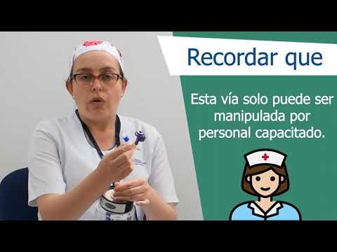 Video: Urraca en casa: características de cuidado, nutrición y recomendaciones