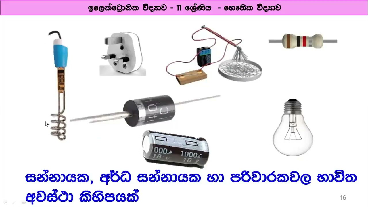 Grade 11 unit 11 e thaksalawa youtube