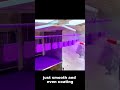 Deep Purple Powder Coating Finish | Stunning Metal Transformation 💜