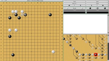 Fuseki (Global Opening Strategy) Review 2  - Single Digit Kyu - Go/Weiqi/Baduk Lecture