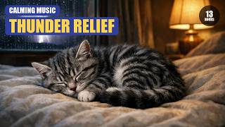 Cat TV — Cat Sleep Music | Soft Distant Summer Thunder | 3 Hours ⛈️ (4K)