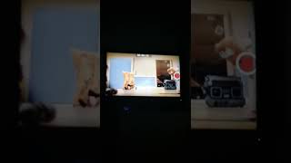 Cinnamon Toast Crunch Dance 2017 USA Cinnamon Toast Crunch Dance 2017 Usa