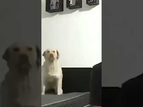 Wtf Workout Wtf World 