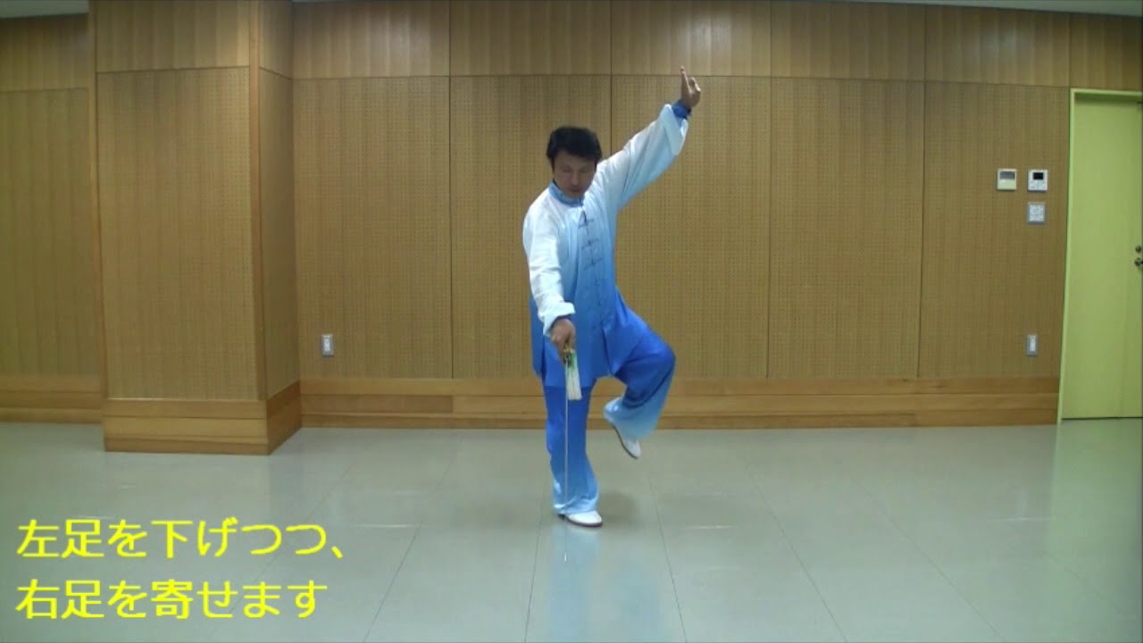32-style Tai Chi Sword 7: Retreat and Turn [Toibu Hoichou] (with
